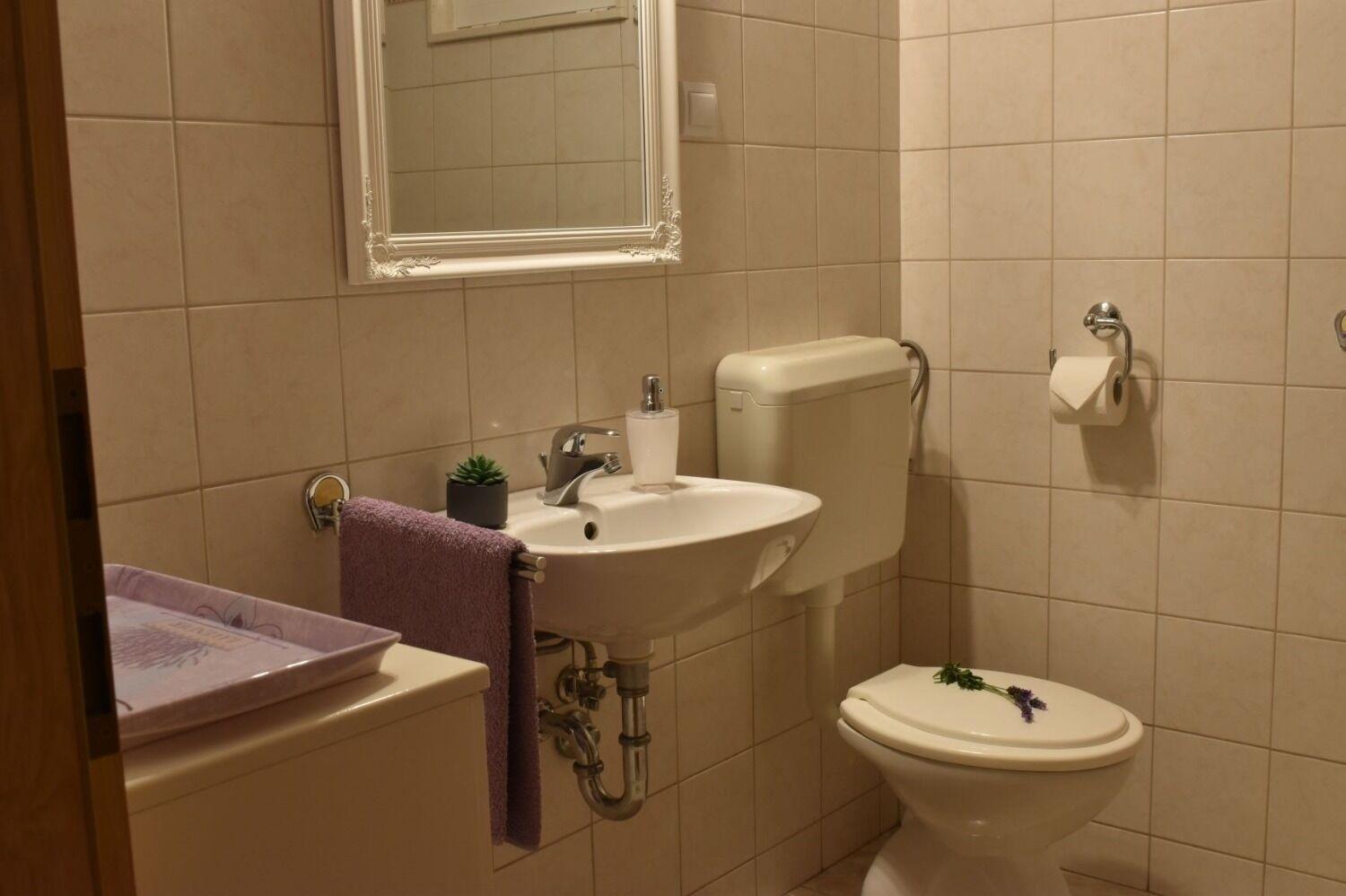 בול Apartments Frama - 3 Apartments מראה חיצוני תמונה